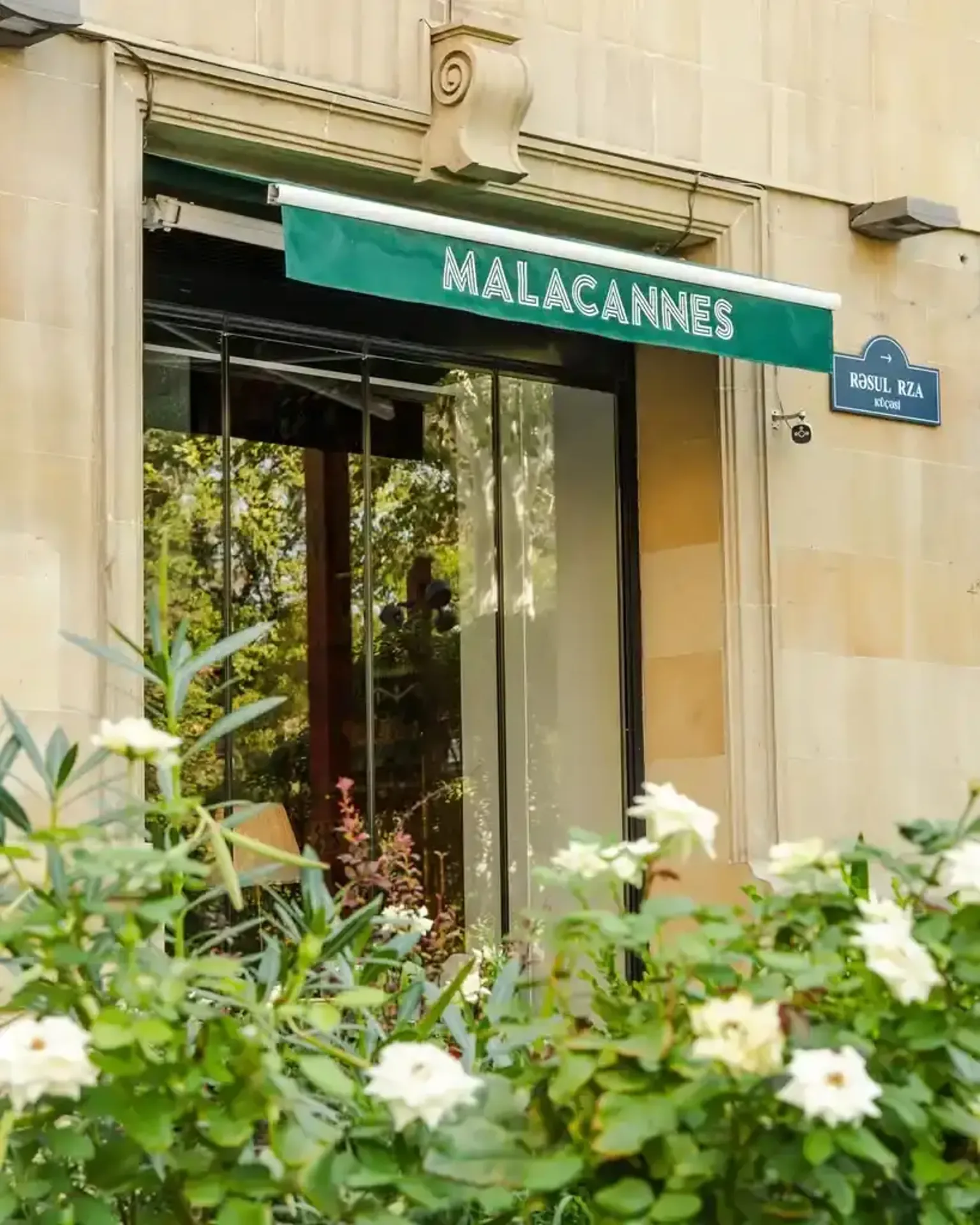 Malacannes 145